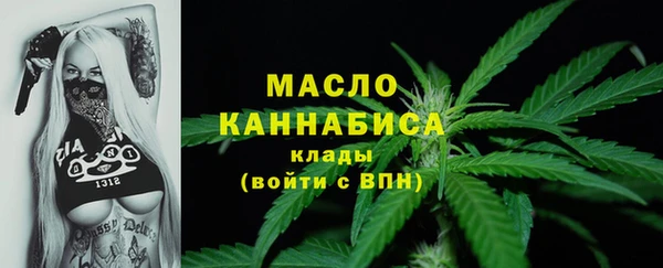 амф Ельня