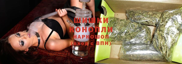 молекула духа Елизово