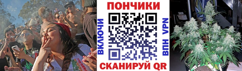 купить наркотики цена  Жиздра  Канабис индика 